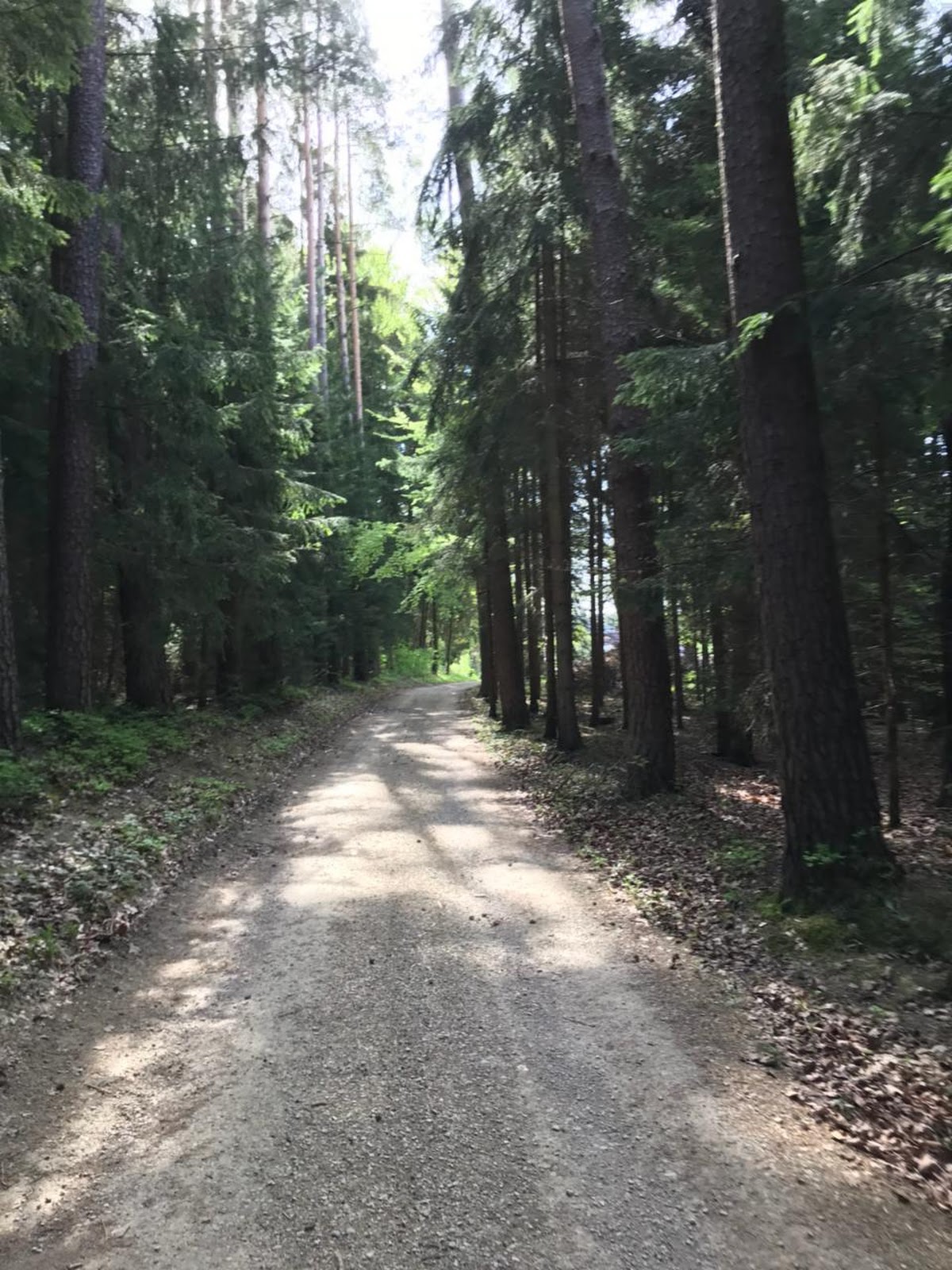Пешая прогулка